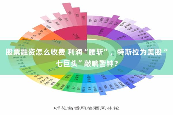 股票融资怎么收费 利润“腰斩”，特斯拉为美股“七巨头”敲响警钟？