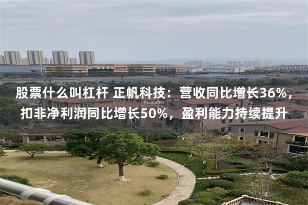 股票什么叫杠杆 正帆科技：营收同比增长36%，扣非净利润同比增长50%，盈利能力持续提升