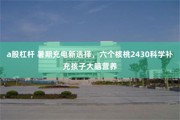 a股杠杆 暑期充电新选择，六个核桃2430科学补充孩子大脑营养