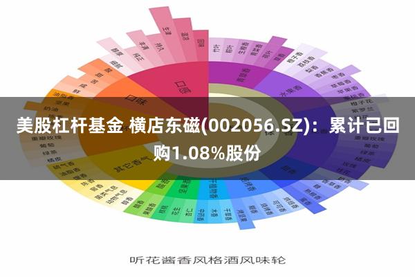 美股杠杆基金 横店东磁(002056.SZ)：累计已回购1.08%股份