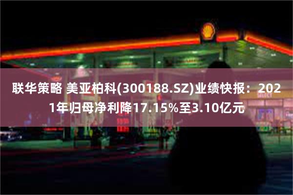 联华策略 美亚柏科(300188.SZ)业绩快报：2021年归母净利降17.15%至3.10亿元