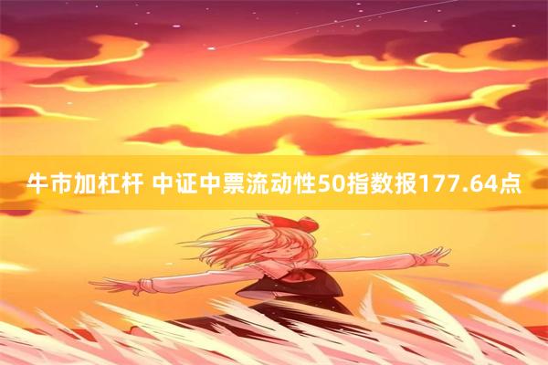 牛市加杠杆 中证中票流动性50指数报177.64点