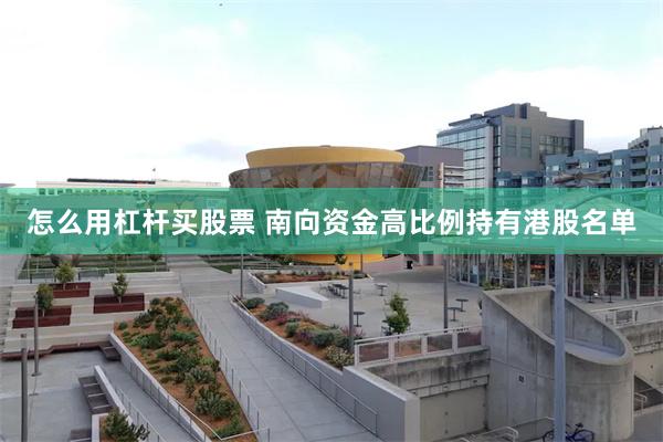 怎么用杠杆买股票 南向资金高比例持有港股名单