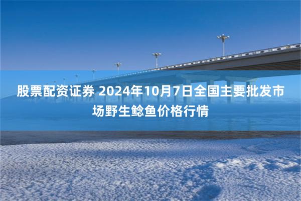 股票配资证券 2024年10月7日全国主要批发市场野生鲶鱼价格行情