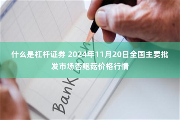 什么是杠杆证券 2024年11月20日全国主要批发市场杏鲍菇价格行情