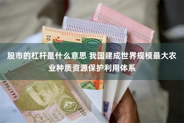 股市的杠杆是什么意思 我国建成世界规模最大农业种质资源保护利用体系