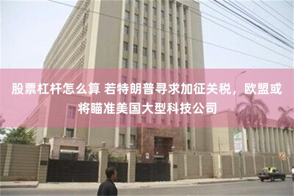 股票杠杆怎么算 若特朗普寻求加征关税，欧盟或将瞄准美国大型科技公司