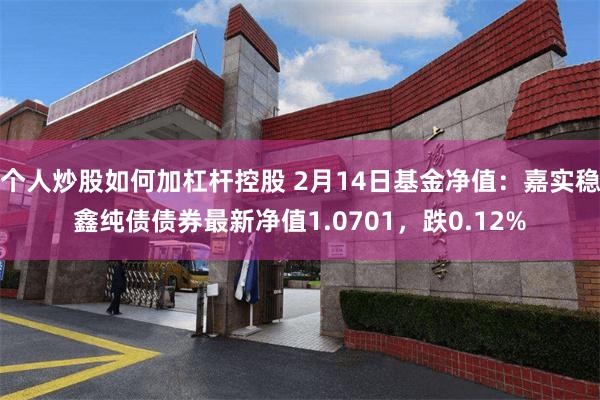 个人炒股如何加杠杆控股 2月14日基金净值：嘉实稳鑫纯债债券最新净值1.0701，跌0.12%