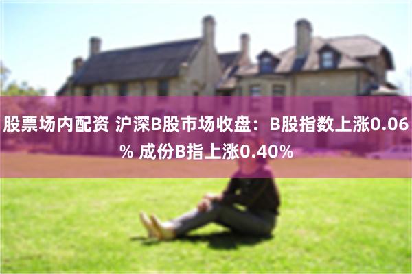 股票场内配资 沪深B股市场收盘：B股指数上涨0.06% 成份B指上涨0.40%