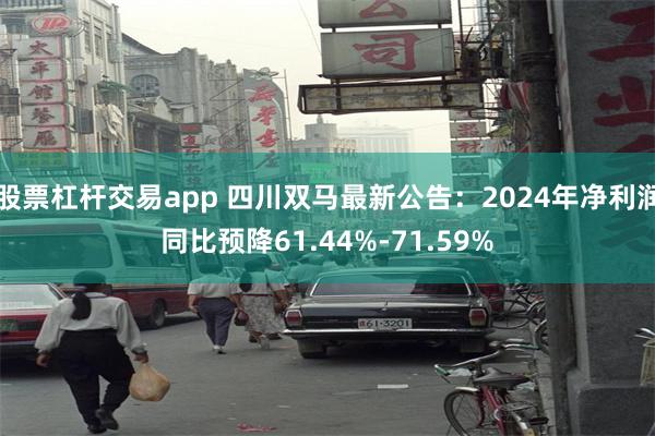 股票杠杆交易app 四川双马最新公告：2024年净利润同比预降61.44%-71.59%